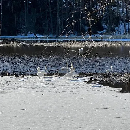 Safari Hébergement de vacances *