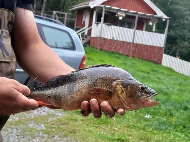 度假居 Safari Pernio